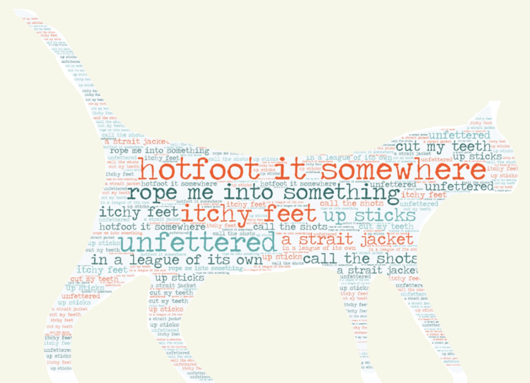 Graphic cat made with words